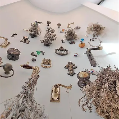 ホテル Roseum Boutique ラルナカ
