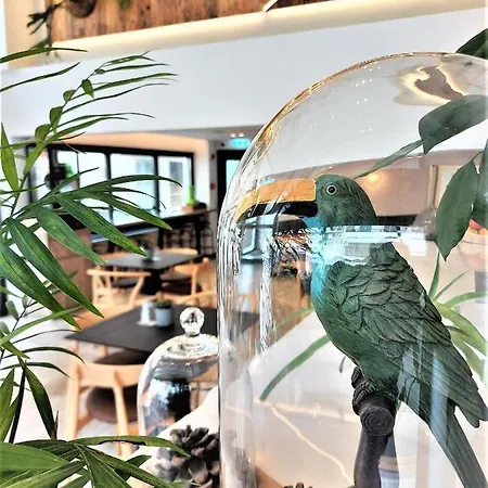 Roseum Boutique لارنكا