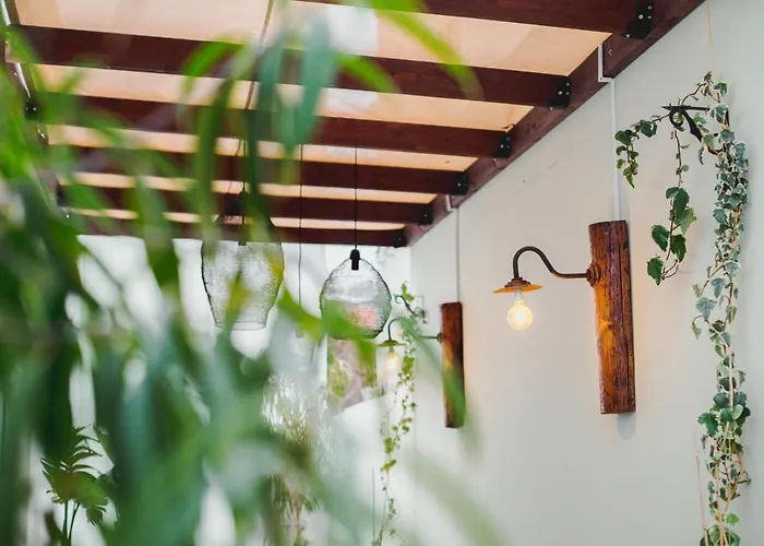 فندق Roseum Boutique 3*