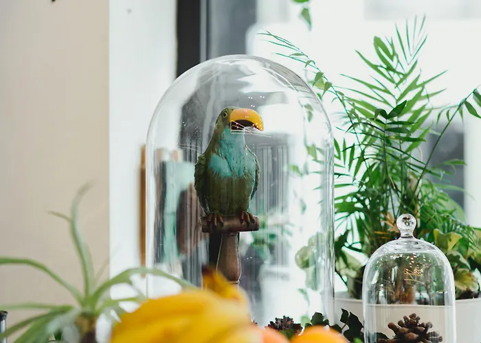 Roseum Boutique فندق 3*