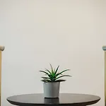 Roseum Boutique Szálloda