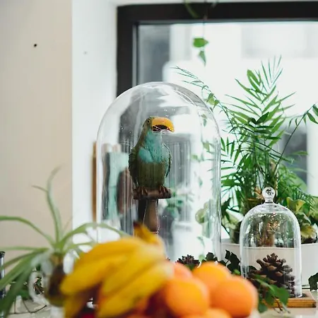 Roseum Boutique Hotel